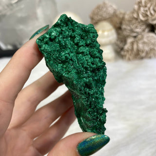 Velvet Malachite Cluster | Fibrous Green Copper Based Crystal from Curious Muse Crystals Tagged with Copper Stone, Crystal Healing, Dark Green Stone, Genuine Crystal, green, Hearth Chakra, hide-notify-btn, Malachite, Manifestation, Mineral Collection, Natural Mineral, Prosperity Wealth, Raw Mineral, Reiki Healing