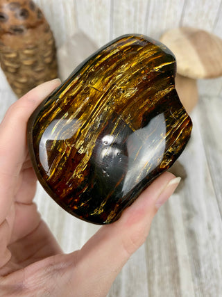 Lion's Mane Sumatran Amber | High Quality Collectors Grade Amber from Curious Muse Crystals Tagged with amber, brown, Crystal healing, fine mineral, fossil, fossilized amber, genuine crystal, hide-notify-btn, mineral specimen, real amber, sulfur, uv reactive