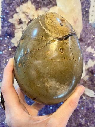 Septarian Nodule Egg with Calcite | Madagascar from Curious Muse Crystals Tagged with aragonite, black, brown, calcite, limestone, Septarian, uv reactive, yellow