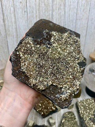 Pyrite on Shungite Raw Layered Plate | Brazil from Curious Muse Crystals Tagged with abundance, black, brazil, cleansing, gold, manifestation, purification, pyrite, shungite