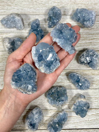 Celestite Raw Geode from Curious Muse Crystals Tagged with blue, celestite, crystal, genuine crystal, geode, raw, raw crystal