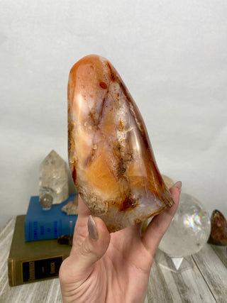 Carnelian Agate Freeform | Red Agate from Madagascar from Curious Muse Crystals Tagged with agate, carnelian, freeform, hide-notify-btn, love, madagascar, red, strength, willpower