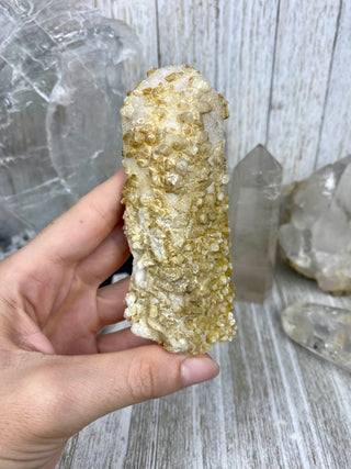 Danburite Pseudomorph with Calcites | Caracas, Mexico from Curious Muse Crystals Tagged with calcite, clear, crown chakra, Crystal healing, danburite, fine mineral, hide-notify-btn, pseudomorph, raw, raw crystal
