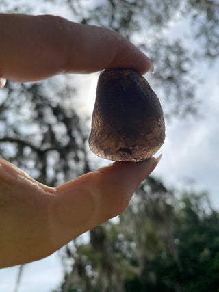 Colombianite 28g Pseudo-Tektite Raw Specimen from Curious Muse Crystals Tagged with black, colombia, colombianite, hide-notify-btn, moldavite, obsidian, reiki healing, space crystal, tektite