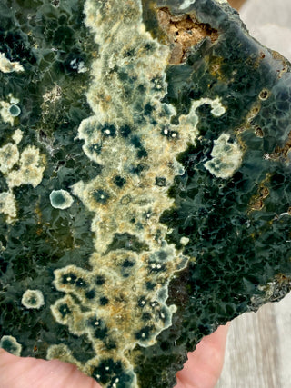 Ocean Jasper Slab from Curious Muse Crystals Tagged with Crystal healing, drusy pocket, hide-notify-btn, jasper, Madagascar mineral, mineral collection, natural mineral, ocean jasper, Orbicular jasper, peace and calming, purple, reiki healing, slab, white