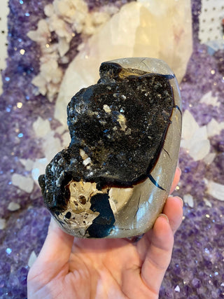 Septarian Cut Base Nodule | Madagascar from Curious Muse Crystals Tagged with aragonite, brown, calcite, limestone, Septarian, uv reactive, yellow