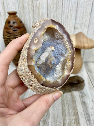 Fossil Ocean Creature Unique Cubic Structure from Curious Muse Crystals Tagged with fine mineral, florida, fossil, Fossil Coral, hide-notify-btn, orange, raw, red, Tampa Bay, USA, white