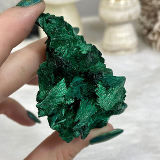 Velvet Malachite Cluster | Fibrous Green Copper Based Crystal from Curious Muse Crystals Tagged with Copper Stone, Crystal Healing, Dark Green Stone, Genuine Crystal, green, Hearth Chakra, hide-notify-btn, Malachite, Manifestation, Mineral Collection, Natural Mineral, Prosperity Wealth, Raw Mineral, Reiki Healing