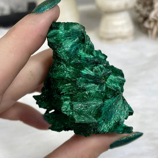 Velvet Malachite Cluster | Fibrous Green Copper Based Crystal from Curious Muse Crystals Tagged with Copper Stone, Crystal Healing, Dark Green Stone, Genuine Crystal, green, Hearth Chakra, hide-notify-btn, Malachite, Manifestation, Mineral Collection, Natural Mineral, Prosperity Wealth, Raw Mineral, Reiki Healing