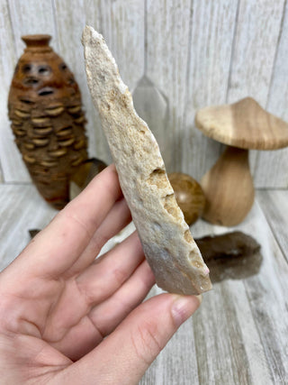 Fossil Ocean Creature Unique Arrow Shape from Curious Muse Crystals Tagged with fine mineral, florida, fossil, Fossil Coral, hide-notify-btn, orange, raw, red, Tampa Bay, USA, white