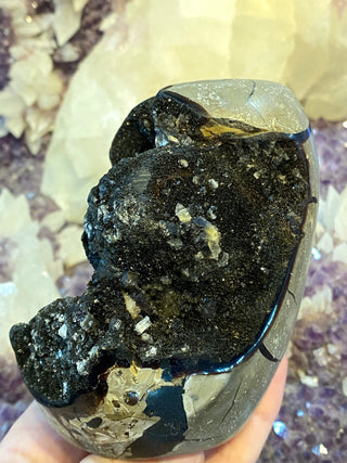 Septarian Cut Base Nodule | Madagascar from Curious Muse Crystals Tagged with aragonite, brown, calcite, limestone, Septarian, uv reactive, yellow