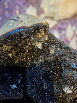 Septarian Cut Base Nodule | Madagascar from Curious Muse Crystals Tagged with aragonite, brown, calcite, limestone, Septarian, uv reactive, yellow