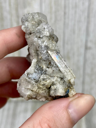 Danburite Raw Crystal Cluster with Chalcopyrite | Caracas, Mexico from Curious Muse Crystals Tagged with clear, crown chakra, Crystal healing, danburite, hide-notify-btn, pink, raw, raw crystal