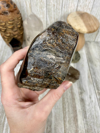 Lion's Mane Sumatran Amber | High Quality Collectors Grade Amber from Curious Muse Crystals Tagged with amber, brown, Crystal healing, fine mineral, fossil, fossilized amber, genuine crystal, hide-notify-btn, mineral specimen, real amber, sulfur, uv reactive