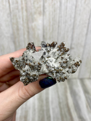 Calcite with Chalcopyrite | Cozamin Mine, Zacatecas, Mexico from Curious Muse Crystals Tagged with calcite, chalcopyrite, clear, fine mineral, gold, mexico, raw