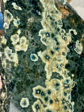 Ocean Jasper Slab from Curious Muse Crystals Tagged with Crystal healing, drusy pocket, hide-notify-btn, jasper, Madagascar mineral, mineral collection, natural mineral, ocean jasper, Orbicular jasper, peace and calming, purple, reiki healing, slab, white