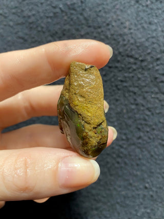 Raw Welo Opal from Ethiopia | Water Opal from Curious Muse Crystals Tagged with Ethiopian opal, flashy opal, hide-notify-btn, opal, rainbow, raw, Welo Opal