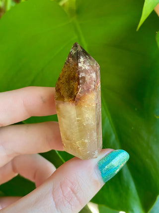 Dreamcoat Lemurian Generator - Polished Brazilian Tower Crystal from Curious Muse Crystals Tagged with clear, clear brazil quartz, dreamcoat lemurian, goethite rutile, hematite amethyst, hide-notify-btn, lemurian, lemurian generator, lemurian seed, polished, purple, red, secondary growth, super seven, synergy seven, tower, yellow