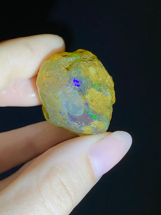 Raw Welo Opal from Ethiopia | Water Opal from Curious Muse Crystals Tagged with Ethiopian opal, flashy opal, hide-notify-btn, opal, rainbow, raw, Welo Opal