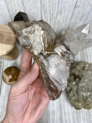 Elestial Smoky Quartz | Minas Gerais, Brazil from Curious Muse Crystals Tagged with Brazilian Quartz, brown, clear, elestial, Elestial Quartz, hide-notify-btn, self healed
