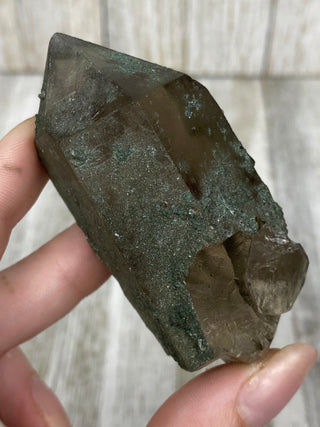 Nirvana Smoky Quartz with Green Chlorite Terminated Point | High-Altitude Himalayan Crystal from Curious Muse Crystals Tagged with chlorite inclusion, clear, green, green Quartz, hand mined crystal, hide-notify-btn, high altitude quartz, High vibration stone, Himalayan Quartz, manifesting Quartz, Nirvana Quartz