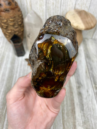 Lion's Mane Sumatran Amber | High Quality Collectors Grade Amber from Curious Muse Crystals Tagged with amber, brown, Crystal healing, fine mineral, fossil, fossilized amber, genuine crystal, hide-notify-btn, mineral specimen, real amber, sulfur, uv reactive