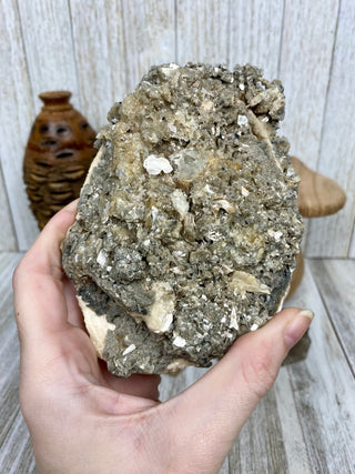 Fossil Clam with Calcite | Fort Drum, Florida from Curious Muse Crystals Tagged with calcite, clam, fine mineral, florida, fossil, hide-notify-btn, high grade, orange, raw, USA