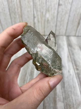 Nirvana Quartz with Green Chlorite Cluster | High-Altitude Himalayan Crystal from Curious Muse Crystals Tagged with chlorite inclusion, clear, green, green Quartz, hand mined crystal, hide-notify-btn, high altitude quartz, High vibration stone, Himalayan Quartz, manifesting Quartz, Nirvana Quartz