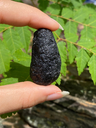 Colombianite 32g Pseudo-Tektite Raw Specimen from Curious Muse Crystals Tagged with black, colombia, colombianite, hide-notify-btn, moldavite, obsidian, reiki healing, space crystal, tektite
