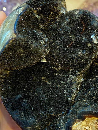 Septarian Cut Base Nodule | Madagascar from Curious Muse Crystals Tagged with aragonite, brown, calcite, limestone, Septarian, uv reactive, yellow