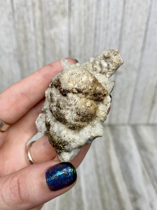Calcite with Chalcopyrite | Cozamin Mine, Zacatecas, Mexico from Curious Muse Crystals Tagged with calcite, chalcopyrite, clear, fine mineral, gold, hide-notify-btn, mexico, raw