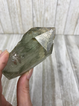 Nirvana Quartz with Green Chlorite Double Terminated Point | High-Altitude Himalayan Crystal from Curious Muse Crystals Tagged with chlorite inclusion, clear, green, green Quartz, hand mined crystal, hide-notify-btn, high altitude quartz, High vibration stone, Himalayan Quartz, manifesting Quartz, Nirvana Quartz