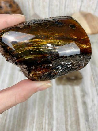 Lion's Mane Sumatran Amber | High Quality Collectors Grade Amber from Curious Muse Crystals Tagged with amber, brown, Crystal healing, fine mineral, fossil, fossilized amber, genuine crystal, hide-notify-btn, mineral specimen, real amber, sulfur, uv reactive