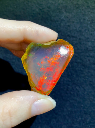 Raw Welo Opal from Ethiopia | Water Opal from Curious Muse Crystals Tagged with Ethiopian opal, flashy opal, hide-notify-btn, opal, rainbow, raw, Welo Opal