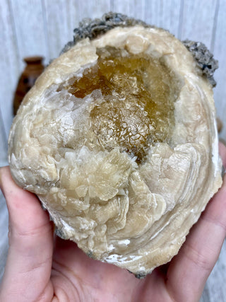 Fossil Clam with Calcite | Fort Drum, Florida from Curious Muse Crystals Tagged with calcite, clam, fine mineral, florida, fossil, hide-notify-btn, high grade, orange, raw, USA