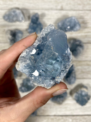 Celestite Raw Geode from Curious Muse Crystals Tagged with blue, celestite, crystal, genuine crystal, geode, raw, raw crystal