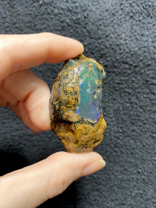 Raw Welo Opal from Ethiopia | Water Opal from Curious Muse Crystals Tagged with Ethiopian opal, flashy opal, hide-notify-btn, opal, rainbow, raw, Welo Opal