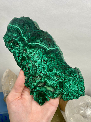 Malachite Polished Slab | Unique Patterns from Curious Muse Crystals Tagged with Copper Stone, Crystal Healing, Dark Green Stone, Genuine Crystal, green, Hearth Chakra, hide-notify-btn, high grade, Malachite, Manifestation, Mineral Collection, Natural Mineral, polished, slab