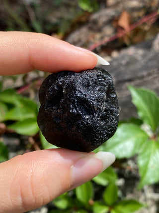 Colombianite 27g Pseudo-Tektite Raw Specimen from Curious Muse Crystals Tagged with black, colombia, colombianite, hide-notify-btn, moldavite, obsidian, reiki healing, space crystal, tektite