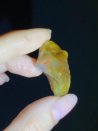 Raw Welo Opal from Ethiopia | Water Opal from Curious Muse Crystals Tagged with Ethiopian opal, flashy opal, hide-notify-btn, opal, rainbow, raw, Welo Opal