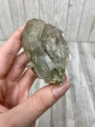 Nirvana Quartz with Green Chlorite Cluster | High-Altitude Himalayan Crystal from Curious Muse Crystals Tagged with chlorite inclusion, clear, green, green Quartz, hand mined crystal, hide-notify-btn, high altitude quartz, High vibration stone, Himalayan Quartz, manifesting Quartz, Nirvana Quartz