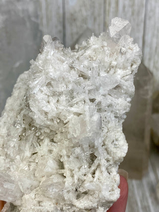 Danburite Raw Crystal Large Cluster with Calcite | Caracas, Mexico from Curious Muse Crystals Tagged with clear, crown chakra, Crystal healing, danburite, hide-notify-btn, pink, raw, raw crystal