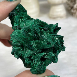 Velvet Malachite Cluster | Fibrous Green Copper Based Crystal from Curious Muse Crystals Tagged with Copper Stone, Crystal Healing, Dark Green Stone, Genuine Crystal, green, Hearth Chakra, hide-notify-btn, Malachite, Manifestation, Mineral Collection, Natural Mineral, Prosperity Wealth, Raw Mineral, Reiki Healing