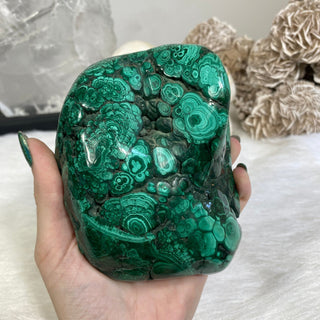 Malachite Polished Large Chunk from Curious Muse Crystals Tagged with copper stone, Crystal healing, dark green stone, genuine crystal, green, hearth chakra, malachite, malachite polished, manifestation, mineral collection, natural mineral, polished, prosperity wealth, reiki healing, tumbled stone