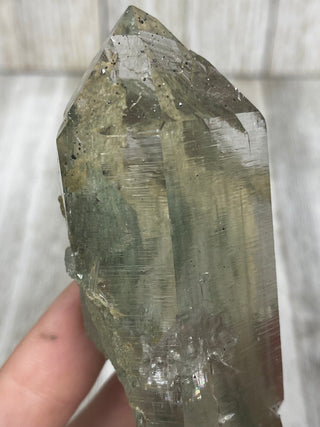 Nirvana Quartz with Green Chlorite Double Terminated Point | High-Altitude Himalayan Crystal from Curious Muse Crystals Tagged with chlorite inclusion, clear, green, green Quartz, hand mined crystal, hide-notify-btn, high altitude quartz, High vibration stone, Himalayan Quartz, manifesting Quartz, Nirvana Quartz