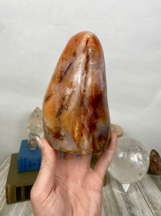 Carnelian Agate Freeform | Red Agate from Madagascar from Curious Muse Crystals Tagged with agate, carnelian, freeform, hide-notify-btn, love, madagascar, red, strength, willpower