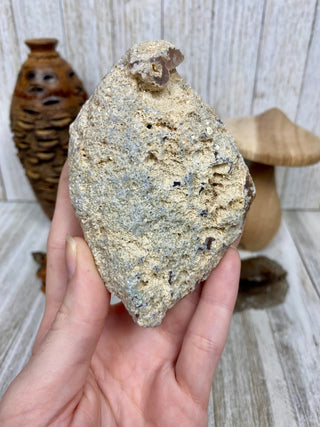 Fossil Ocean Creature Unique Cubic Structure from Curious Muse Crystals Tagged with fine mineral, florida, fossil, Fossil Coral, hide-notify-btn, orange, raw, red, Tampa Bay, USA, white