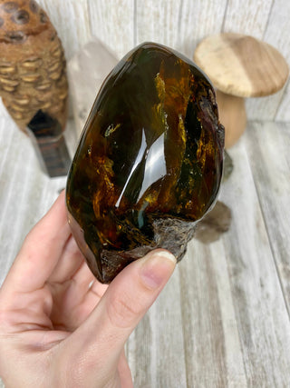 Lion's Mane Sumatran Amber | High Quality Collectors Grade Amber from Curious Muse Crystals Tagged with amber, brown, Crystal healing, fine mineral, fossil, fossilized amber, genuine crystal, hide-notify-btn, mineral specimen, real amber, sulfur, uv reactive