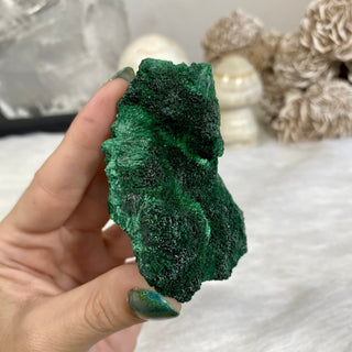 Velvet Malachite Cluster | Fibrous Green Copper Based Crystal from Curious Muse Crystals Tagged with Copper Stone, Crystal Healing, Dark Green Stone, Genuine Crystal, green, Hearth Chakra, hide-notify-btn, Malachite, Manifestation, Mineral Collection, Natural Mineral, Prosperity Wealth, Raw Mineral, Reiki Healing