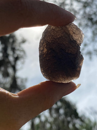 Colombianite 32g Pseudo-Tektite Raw Specimen from Curious Muse Crystals Tagged with black, colombia, colombianite, hide-notify-btn, moldavite, obsidian, reiki healing, space crystal, tektite